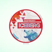 Ice Berg 20mg Nicotine Pouches