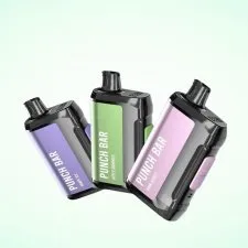 Punch Bar 10K Puffs Kit