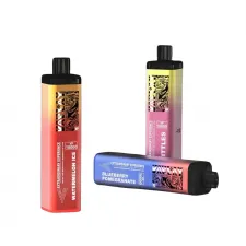 Vaplay VP 10000 Prefilled Vape Kit