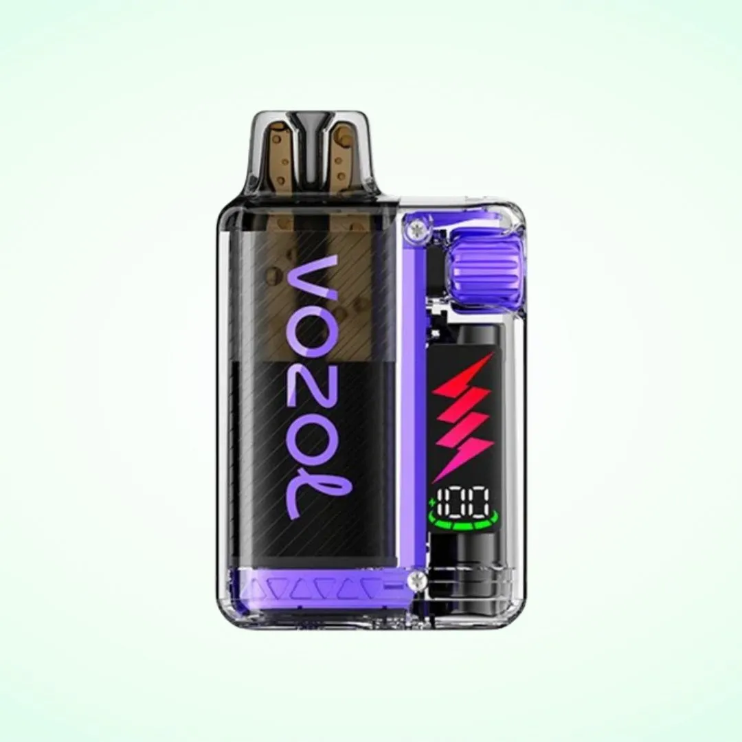 Vozol Vista Plug 10K Vape Kit